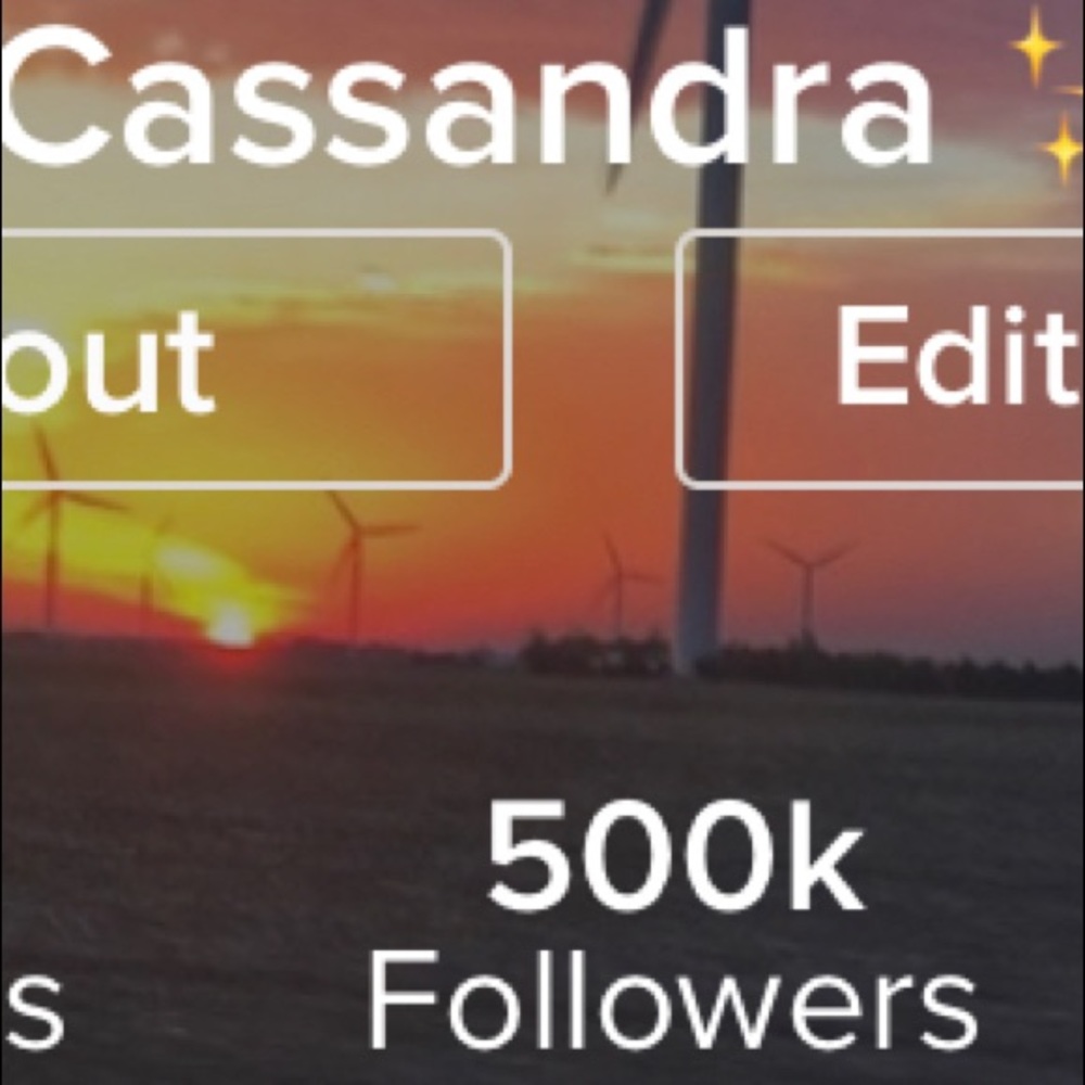 Hit 500k today! Help me get to 600k!!! - Picture 4 of 4